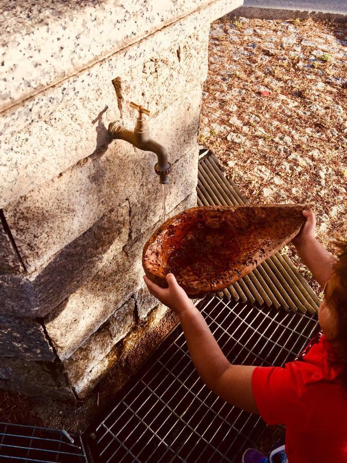 Calangianus La Vecchia Posta B&B מראה חיצוני תמונה